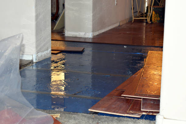 Professional Basement Flood Cleanup technician working in Englewood, NJ